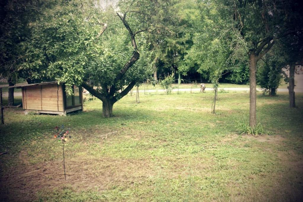 Ferienwohnung Im Gruenen Gottenheim Екстер'єр фото