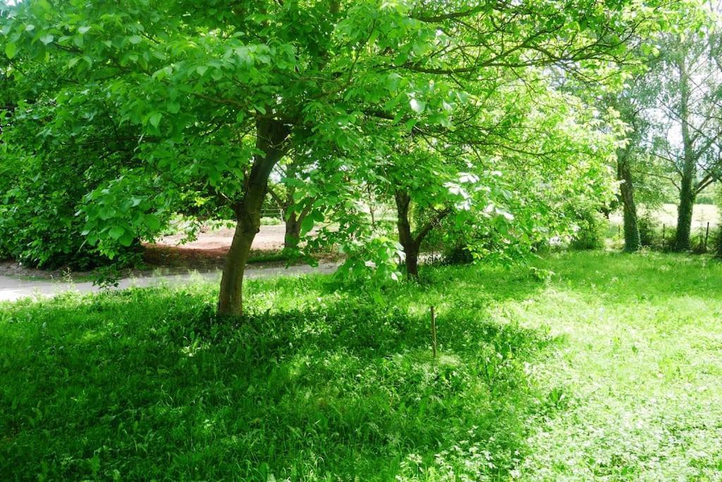 Ferienwohnung Im Gruenen Gottenheim Екстер'єр фото