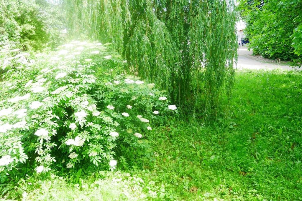 Ferienwohnung Im Gruenen Gottenheim Екстер'єр фото